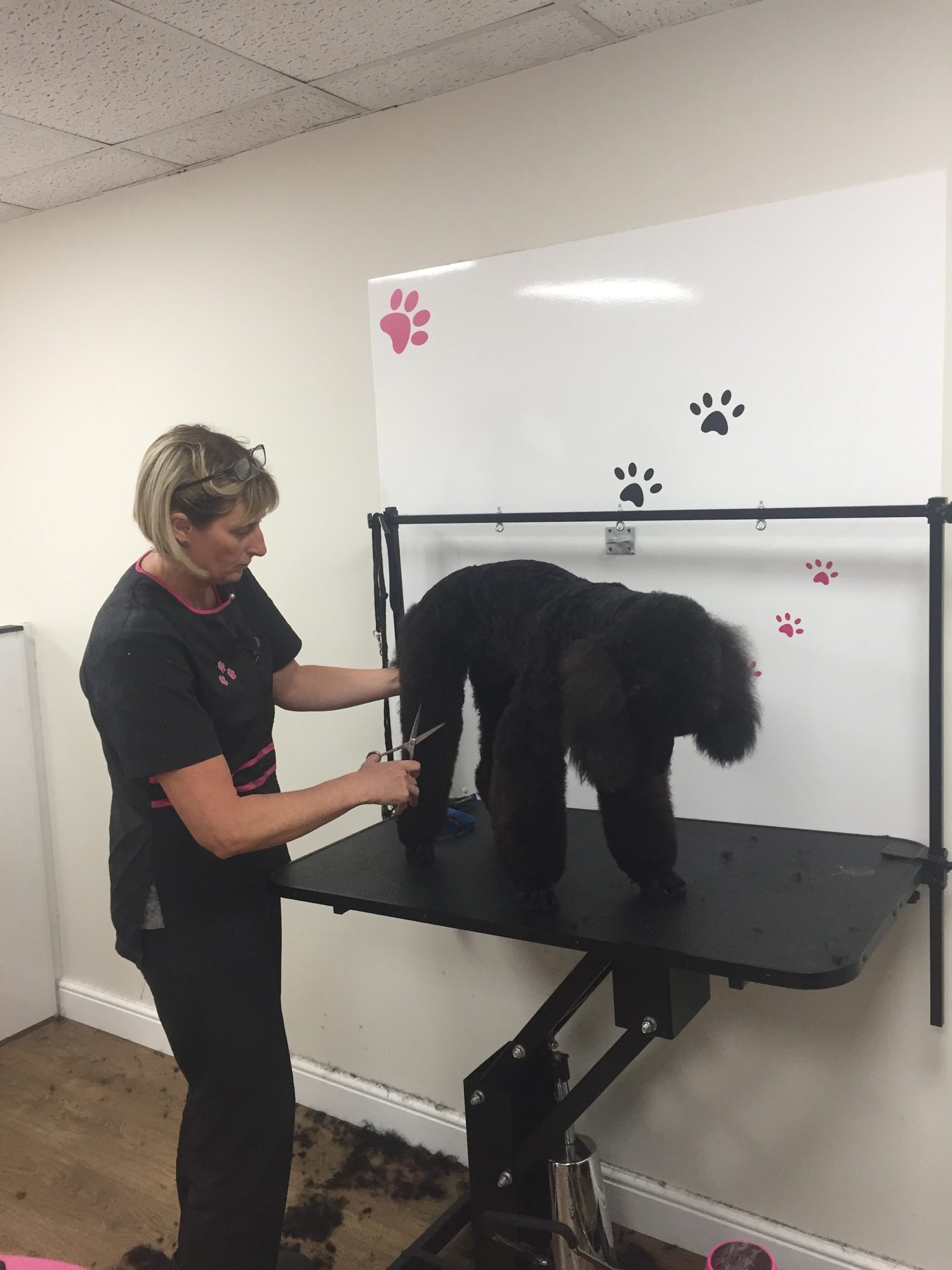 The groomer scissoring a black dog on the table in the bright salon
